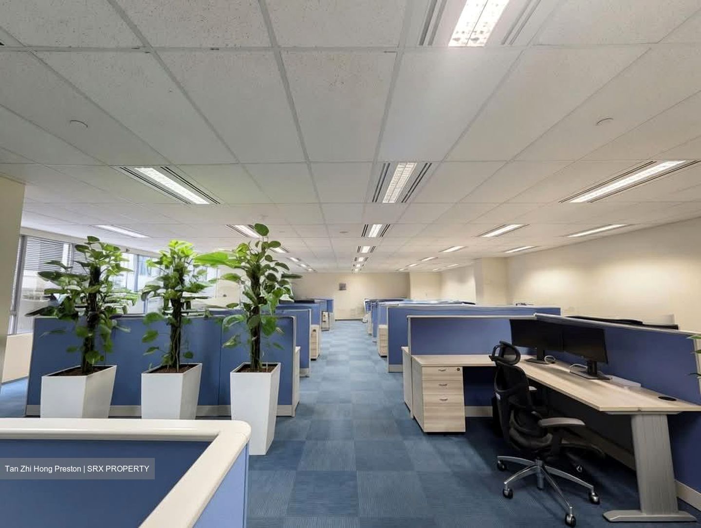 MYP Plaza (D1), Office #591308581